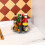 Rotating Storage Rack PET Tray 2-Pack 4