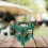 Kerosene Camping Stove 5