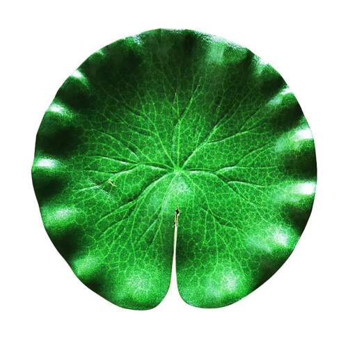 Limei artificial floating lotus leaves 6 pcs 6 inch 1