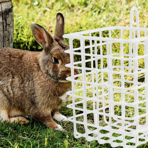 Rabbit Hay Holder Feeder for Small Animals 2