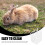 Rabbit Hay Holder Feeder for Small Animals 6