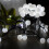 Xhy20Led Φώτα 9.8FT Νεράιδα με Κορδόνι Χριστουγεννιάτικα Φώτα για Γάμο και Γενέθλια, 2