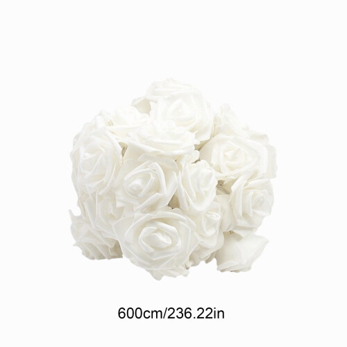Guirlande lumineuse LED rose 6m blanche 2