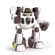 Clem. Paddeln Sie mit dem KI-Roboter
