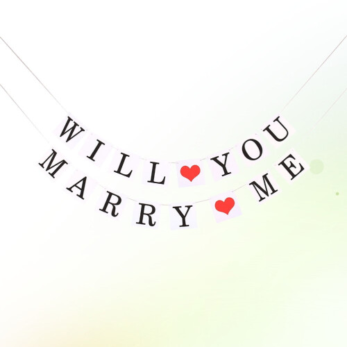 Will You Marry Me Paper Bunting Banner 2