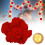 LED Rose String Lights, 6m 40-LED, USB Powered 3