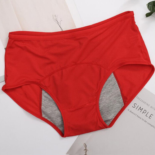 HWRETIE Εσώρουχα Plus Size για γυναίκες, 4 τεμάχια εσώρουχα περιόδου με προστασία από 1