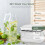 4-Pack Silicone Ice Cube Trays with Lids and Storage Bin 3