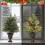 Christmas Tree 2ft Tabletop with 70 Warm White LEDs 5