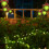Halloween String Lights 20 LED 10 FT Battery Operated 6