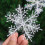 White Plastic Glitter Snowflake Ornaments 2-Pack 6