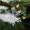Kerstsneeuwvlokjes LED-slinger 3-pack 8