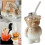 Bear-Shaped Clear Glass Mug 2