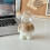 Bear-Shaped Clear Glass Mug 5
