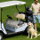 Golfwagenabdeckung aus Mikrofaser, 51" x 31" 8