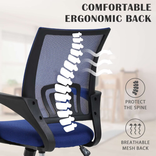 Ergonomic Mesh Office Chair Blue with Lumbar Support 2