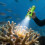 High Power Diving Flashlight LED 1000 Lumen 2