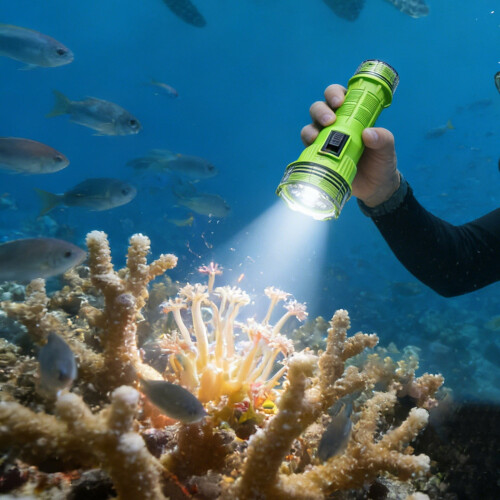 High Power Diving Flashlight LED 1000 Lumen 1