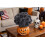 20pcs Artificial Chrysanthemum Ball Flowers Grey Black 4