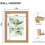 Floating Picture Frame Wood 5x7 with Double Plexiglass 7