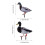Acrylic Duck Garden Stake Set – 6 Pack 2