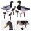 Acrylic Duck Garden Stake Set – 6 Pack 3