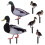 Acrylic Duck Garden Stake Set – 6 Pack 5