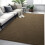 Light Brown Modern Area Rug 4x6 Ft Non-Slip Washable 3
