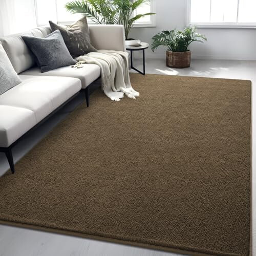 Light Brown Modern Area Rug 4x6 Ft Non-Slip Washable 2