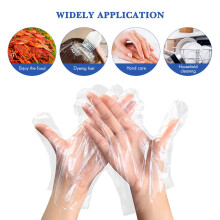 2Pcs Clear Polyethylene Disposable Gloves for Restaurant Use
