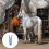 Horse feeder bag nylon rope hanging blue 8