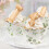 White paper cupcake wrappers with eucalyptus print, 25pcs 8