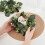 2 Pack Artificial Eucalyptus Wreaths 9 Inch Candle Rings 3