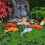 Betta Fish Mini Koi Fish Punainen Hartsi 5 kpl 7