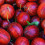Stachelbeere Rote Hinnonmaki rot 2L 2