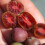 KIWI Ken's Red weiblich 1L 4