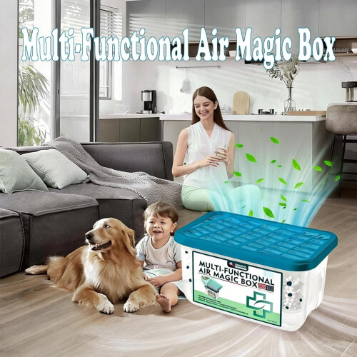 Luftstaubentfernungsbox, 2er-Pack, 12,35 oz 2
