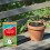 GRO-Sure Fast Acting Lawn Seed 13m² Coverage 4