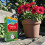 GRO-Sure Fast Acting Lawn Seed 13m² Coverage 5