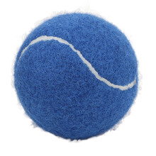 12er Pack Tennisbälle blau Drucktraining mit
