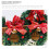 Mini-Bastelkränze, Mini-Weihnachtskränze, grüner Kunststoff, 10 Stück 2