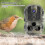 30MP Trail Camera 2'' IPS LCD Color Screen 4K Game Camera Night Vision Motion Activated IP65 Waterproof 48 LED Light 5