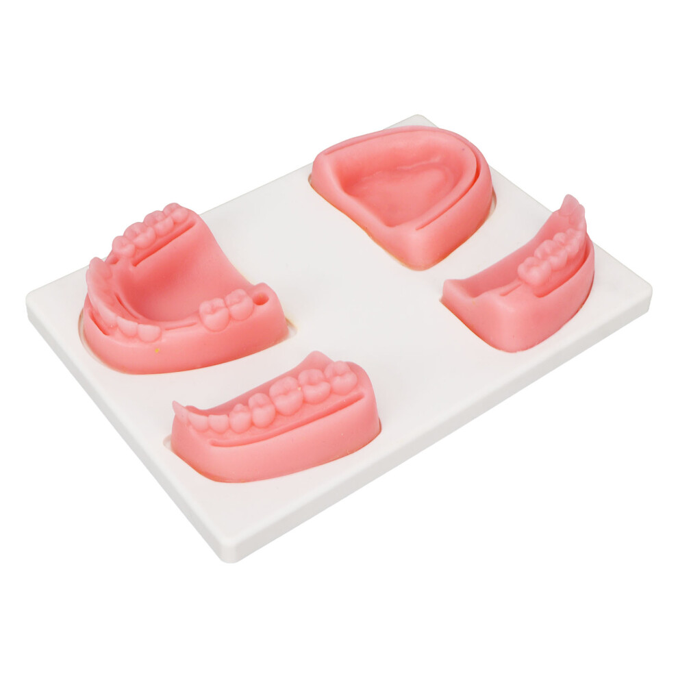 Dental Suture Practice Kit Silicone Model with Pliers & Tweezers