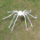 Halloween Giant Spider Decoration - Realistic Hairy Spider, 5