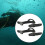 fin straps L L 5