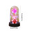 Preserved Rose Teddy Bear Ornament with LED Light 6.1x3.35 2
