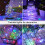 Πακέτο 2 πολύχρωμων φωτιστικών LED Fairy Lights 33ft - Αδιάβροχα φωτιστικά σε σειρά με 5
