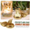Angel Wing Tealight Holder Resin 2 Pack 3