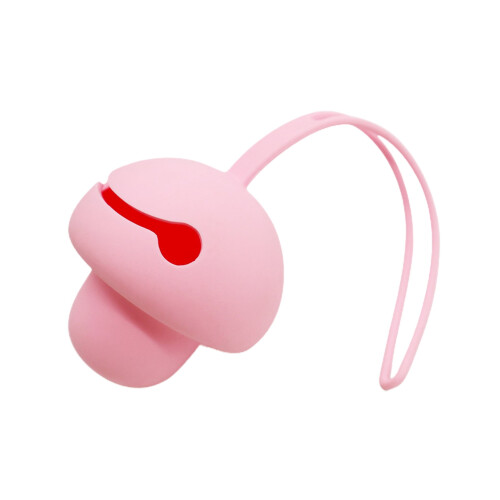 Estuche de silicona para guardar chupetes 1