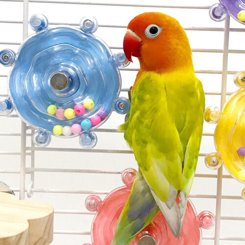 Παιχνίδι μάσησης Cockatoo, παιχνίδι ανακούφισης από την αποσυμπίεση πουλιών με 2